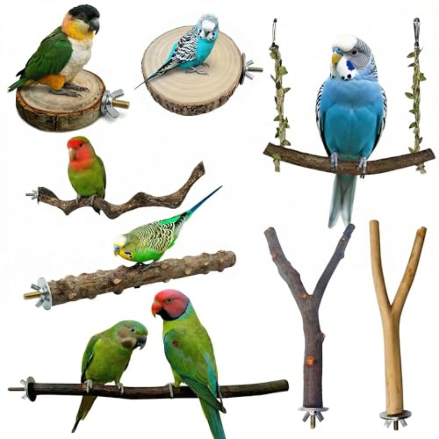 Health & Wellness Animal Hospital - 8 adet doğal ahşap kuş tünemişi,